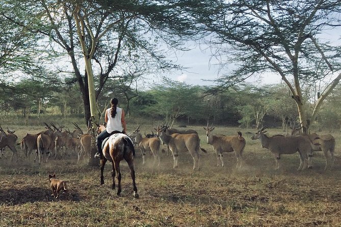 Horse safaris in Tanzania - Photos on Horseback: How to Get the Shot Without Losing the Experience