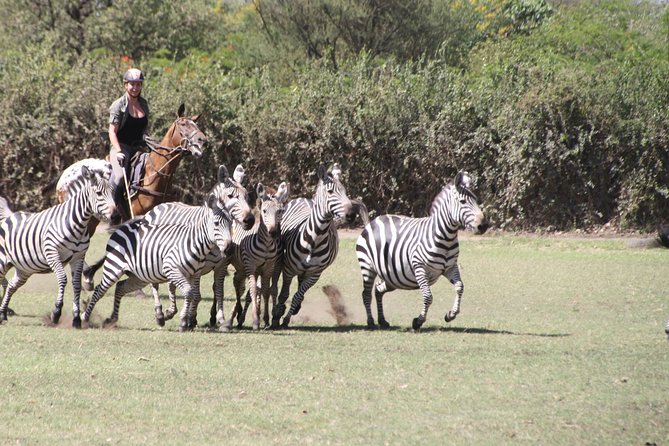 Horse safaris in Tanzania - Should You Book Kaskazi Horse Safaris?