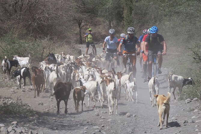 Hot Springs Bike tour - How the day flows: 9:00 am start, a guided medium-paced ride, and a relaxed return