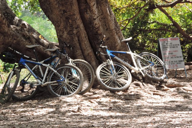 Hot Springs Bike tour - Kili Bike Adventures setup: bikes, helmets, and guides who actually pay attention