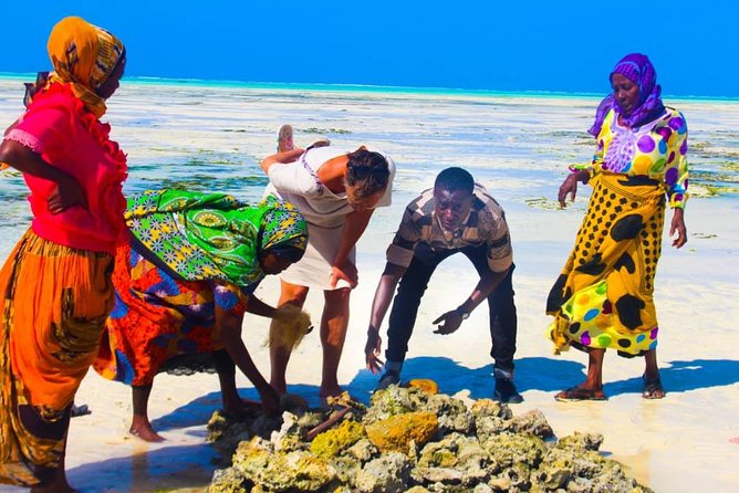 Jambiani Village Women at work and play - Key highlights you will actually feel