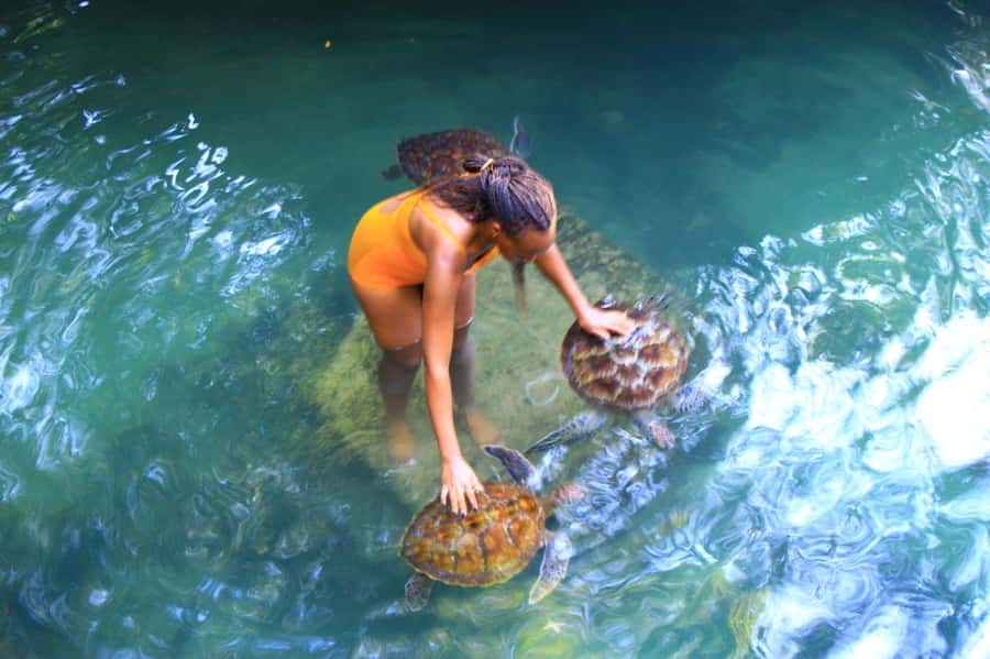 Joazani forest & Spice farm with lunch - Price and value: is $99 per person fair?