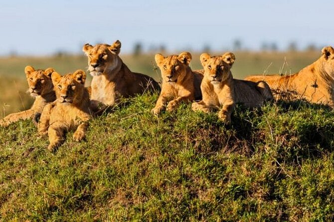 Joining Safari from Mwanza - Your Private Setup: What a Max of 7 Changes
