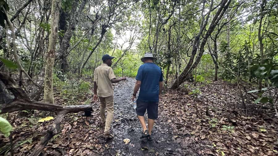 Jozani Forest, kuza cave and mtende beach - Nature trails and the mangrove bridge, in practical order