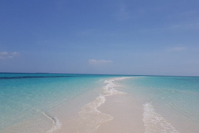 Jozani Forest, Kuza Cave, Paje Beach and The Rock Restaurant - 8:30am Start to a Full-Day Best-Of Zanzibar Route