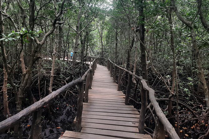 Jozani Forest, Kuza Cave, Paje Beach and The Rock Restaurant - Price and Value: What $100 Gets You in Real Terms