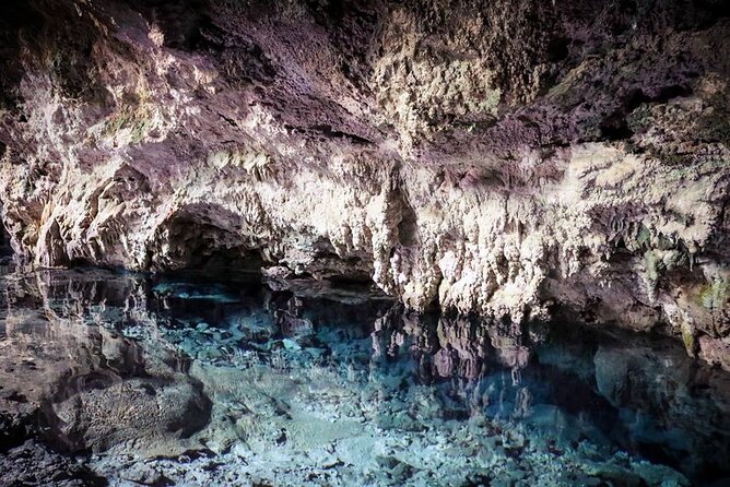 Jozani Forest Kuza Cave The Rock Restaurant and Paje Beach - Who should book this day trip, and who should skip it
