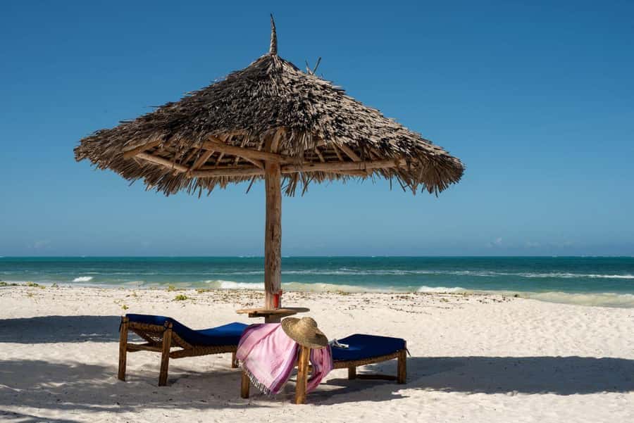 Jozani Forest & Paje Beach Trip with The Rock Restaurant - Pickup, private guide, and the small logistics that matter