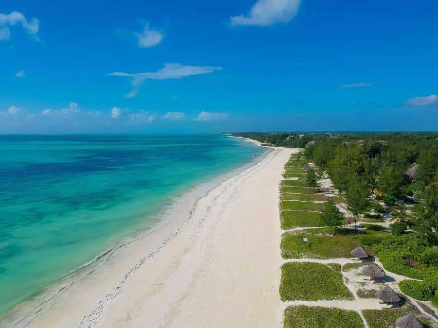 Jozani Forest & Paje Beach Trip with The Rock Restaurant - The best way to enjoy every stop without rushing