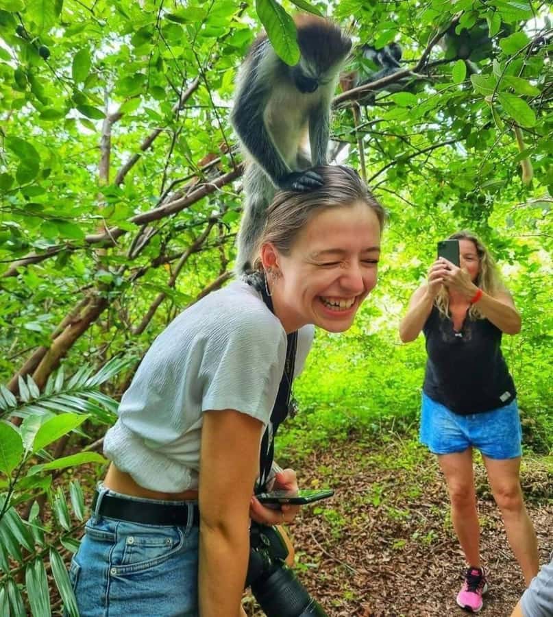 Jozani Forest, Sea Turtles, Blue Lagoon, Starfish & The Rock - Jozani Forest: Red Colobus monkeys and the mangrove world