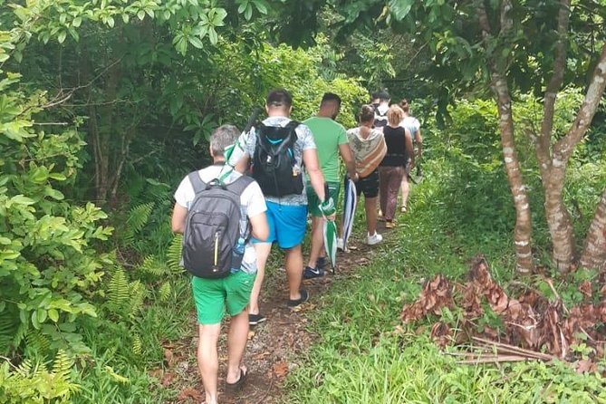 Jozani Forest Tour - Jozani Chwaka Bay National Park: what makes it special