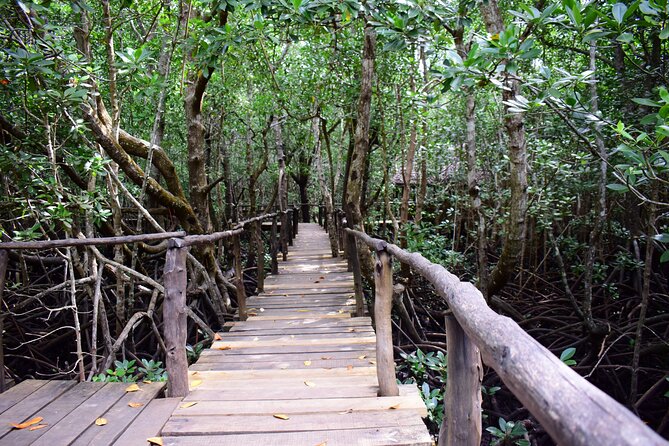 Jozani Forest Tour - Inside the forest reserve: how the walk is paced
