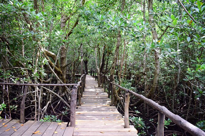 Jozani Forest Tour - Group size, private setup, and what to expect from your guide