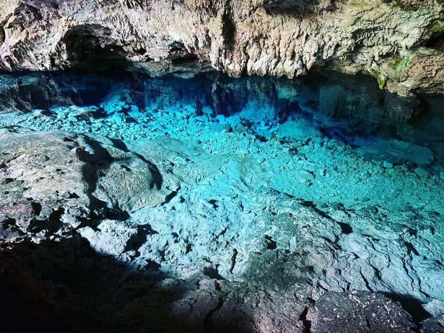 Jozani Forest Tour, Salaam Cave Tour, The Rock, Kuza Cave - Guides, comfort, and logistics that affect the day