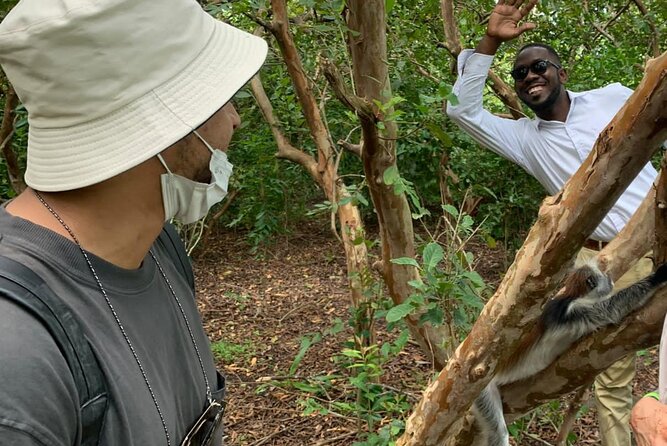 Jozani Forest - Stop 1 at the Red Stage: Where Red Colobus Are the Main Event