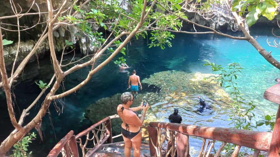 Jozani Monkey Forest & Malum Cave Swimming - Key highlights you should care about