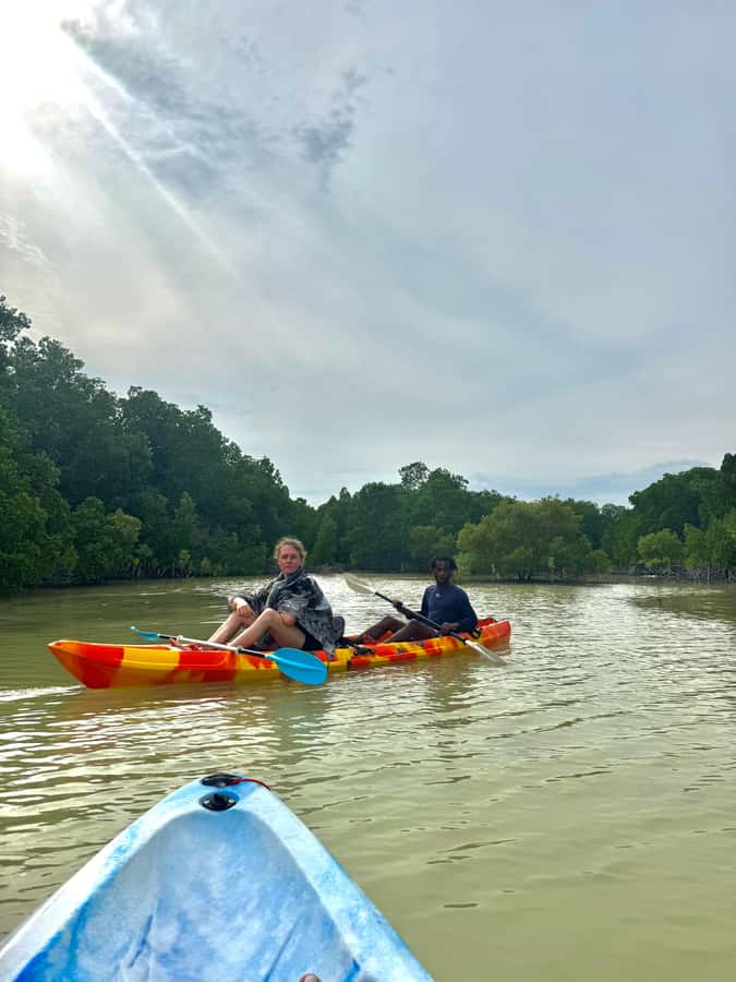 Kayak Mangrove Tour - Key takeaways before you book