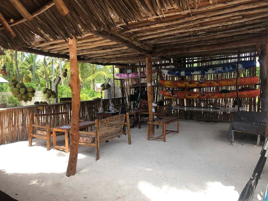 Kayak Mangrove Tour - Should you book Ally Kayak’s Mangrove Tour?