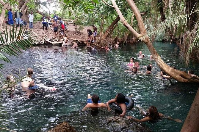 Kikuletwa (Chemka) Hot Springs Day Tour - Entering Kikuletwa (Chemka) Hot Springs: what the water is really like