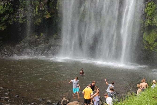 Kikuletwa (Chemka) Hot Springs Day Tour - Transportation, guides, and what the day feels like in real life