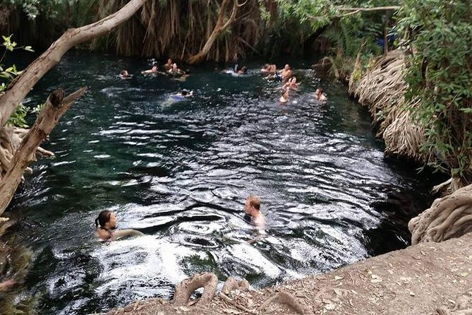 Kikuletwa (Chemka) Hot Springs Day Tour - What you are paying for: value check on the $90 price
