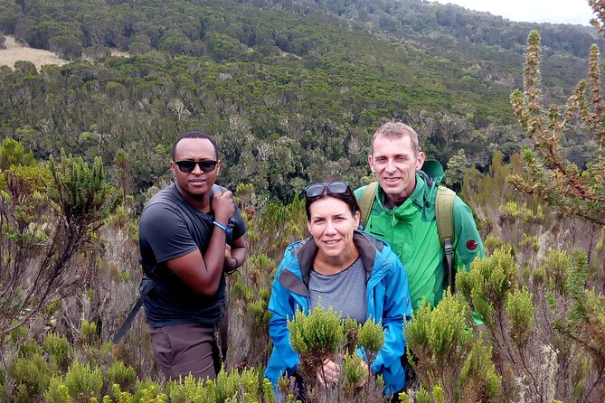 Kilimanjaro 1 Day Hike - Why this day hike feels like Kilimanjaro, not a substitute