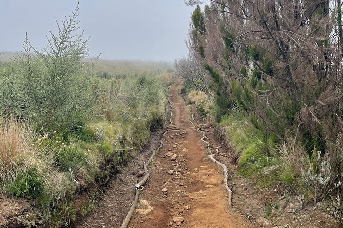 Kilimanjaro 1 Day Hike - Who this day hike is best for (and who should skip it)