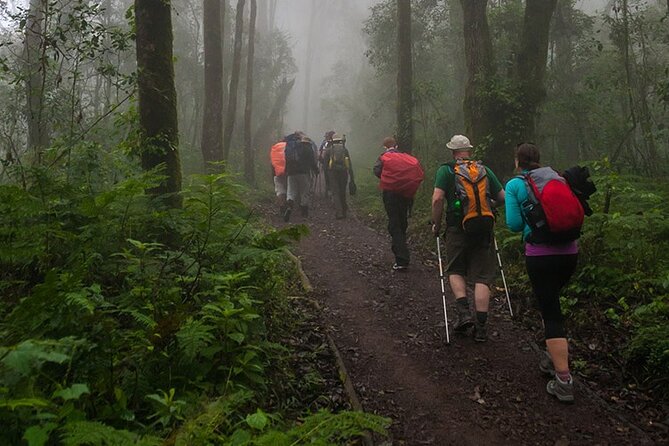 Kilimanjaro 1 Day Hike - Practical tips to make your day smoother