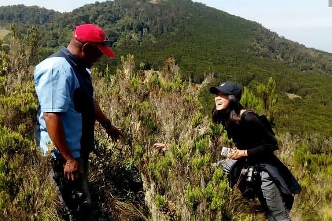 Kilimanjaro 1 Day Hike - From Moshi to the trail: what your morning is actually like
