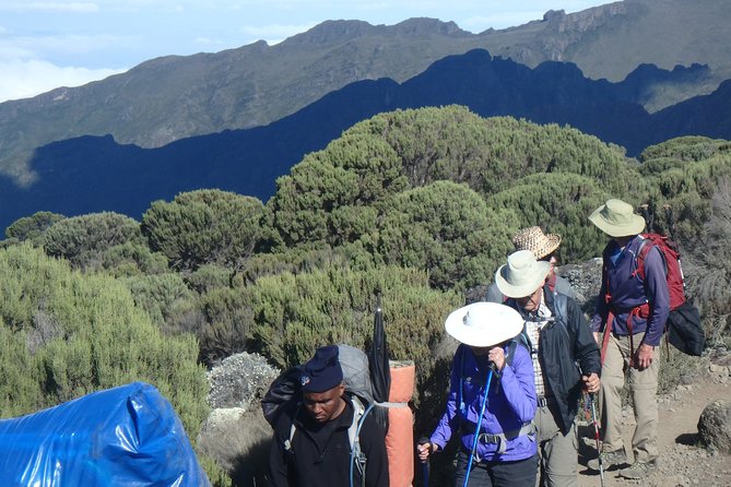 Kilimanjaro 2 days Hike - Moshi Start: an 8:00am Park-Gate Routine That Keeps Things Calm