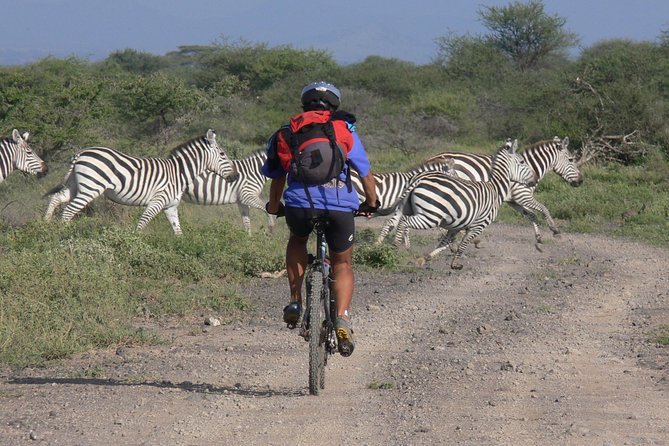 Kilimanjaro 360 - Enduimet Wildlife Management Area to Simba Farm: elephants on the move
