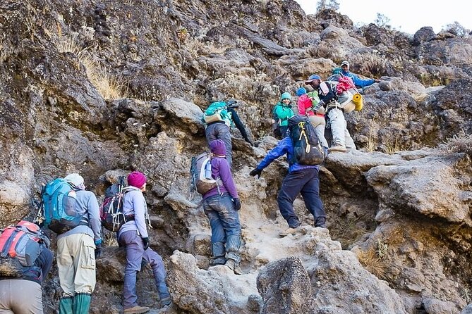 Kilimanjaro 7 Day Private Trekking Experience - Day 3: Lava Tower acclimatization, semi-desert walking, and the Barranco Camp drop