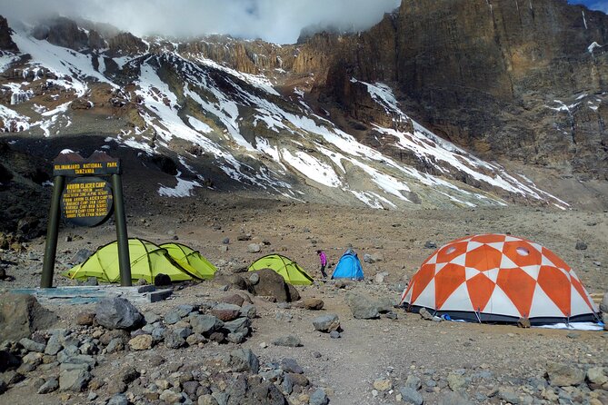 Kilimanjaro 7 Days Machame Route Private Tour - Days 2 and 3: rainforest up to moorlands, plus the first big outlook