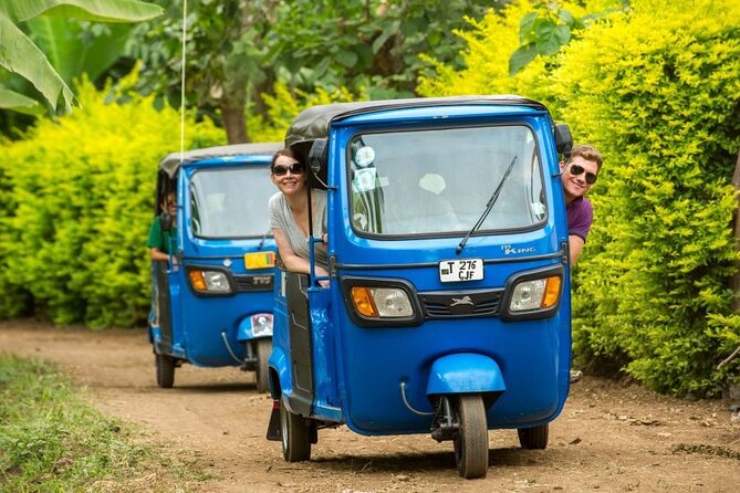 Kilimanjaro Airport Private Transfer from/to Moshi - What Happens When You Book: The Info That Matters