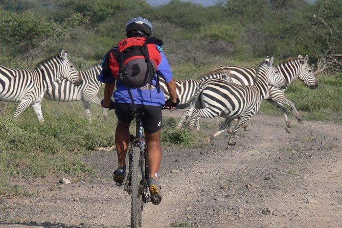 Kilimanjaro bike park safari - Key things to know before you go