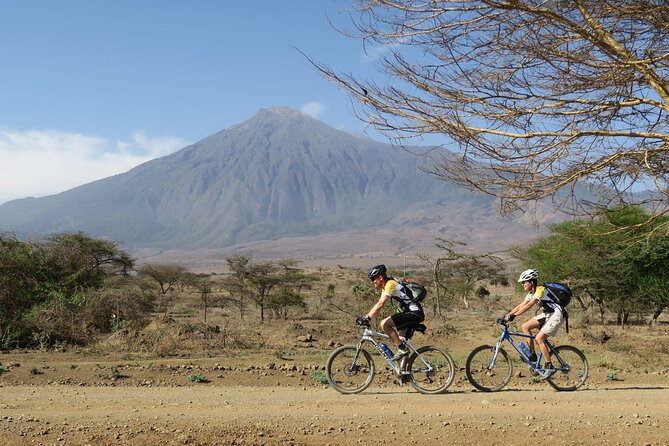 Kilimanjaro bike park safari - Fitness and bike confidence: who this tour suits best