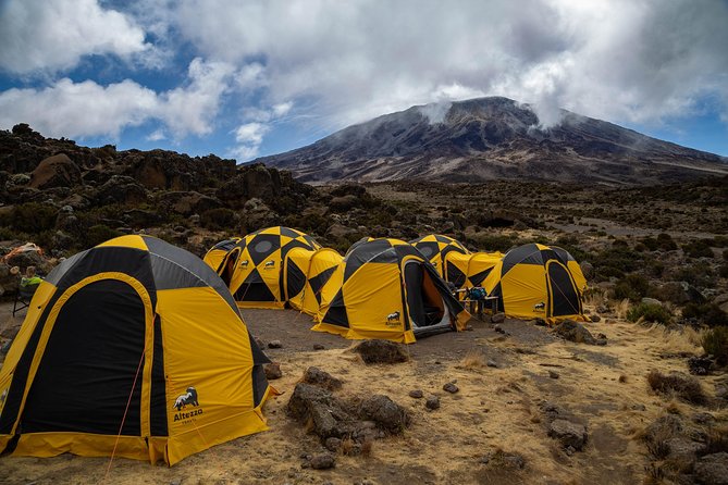Kilimanjaro climb by Lemosho Route (7-day) - Day 7: Summit night for Uhuru Peak (5,895 m), plus the descent reality check