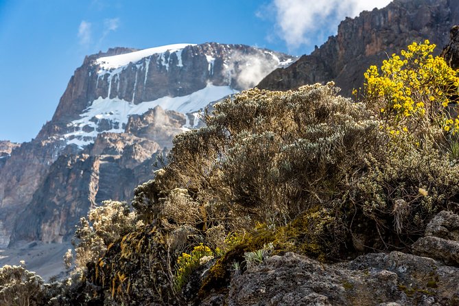 Kilimanjaro climb, Kilimanjaro Crater route (10-day) - Gear, fitness, and crater risk: what to plan before you climb