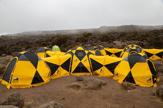 Kilimanjaro climb, Lemosho Route (6-day) - Day 2: Londorossi Gate to Off-Road Drop-Off Near 3,500 m
