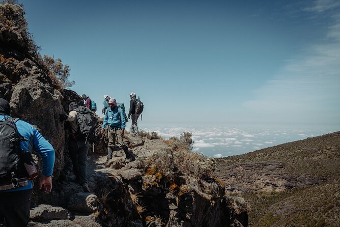Kilimanjaro climb, Lemosho Route (6-day) - Day 3: Shira 2 to Lava Tower (4,630 m) and Then Down to Barranco Wall