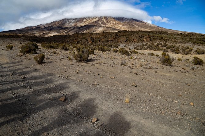 Kilimanjaro climb, Lemosho Route (6-day) - Day 6: Uhuru Peak 5,895 m, Personal Guide Support, Then the Descent to Millennium Camp