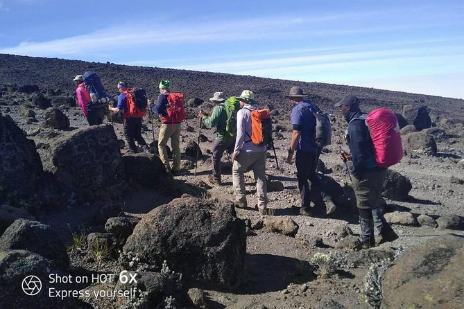 Kilimanjaro Climb- Lemosho Route - Camp comforts included: tents, sleeping gear, and bottled water