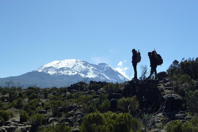 Kilimanjaro Climb • Machame Route ~ 10 Day - Day 4: leaving the forest, first big altitude bite to Shira