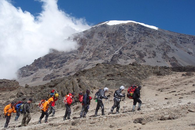 Kilimanjaro Climb • Machame Route ~ 10 Day - Day 3: Machame gate into the rain forest to Machame Camp