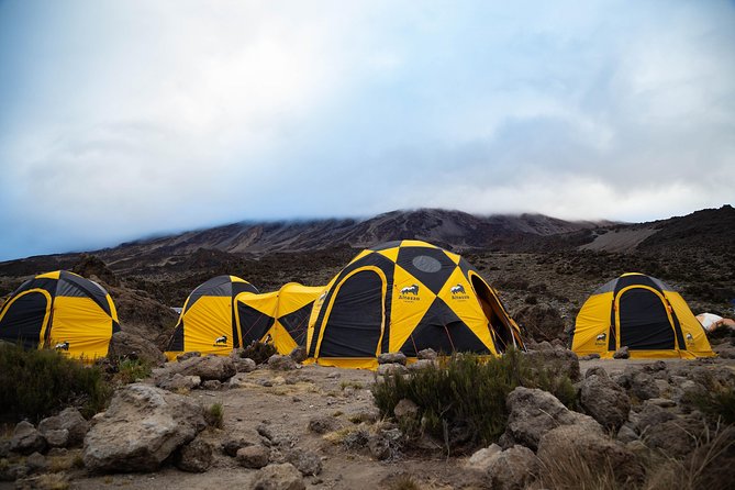 Kilimanjaro climb, Machame Route (7-day) - Moshi Arrival Comfort: JRO Pickup and Aishi Machame Hotel Downtime