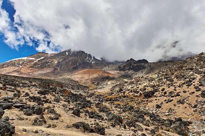 Kilimanjaro climb, Marangu route (6-day) - Moshi arrival day: getting your footing fast after landing