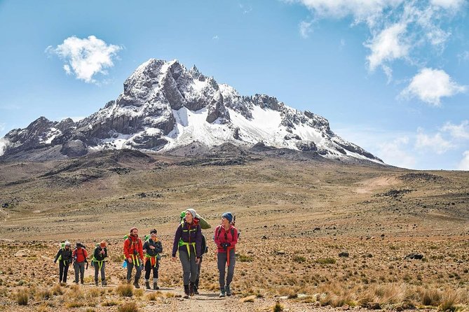 Kilimanjaro Climb Marangu Route 6 days - Day 6: Horombo Hut back to Marangu Gate through forest