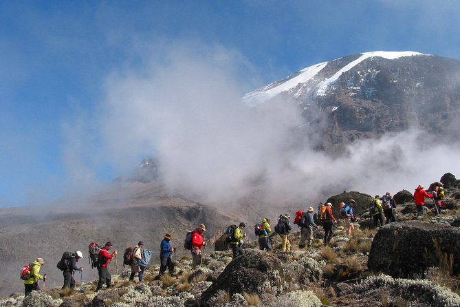 Kilimanjaro Climb • Marangu Route ~ 9 Day - Day 6 toward Kibo Hut: Alpine desert and the Kibo Saddle
