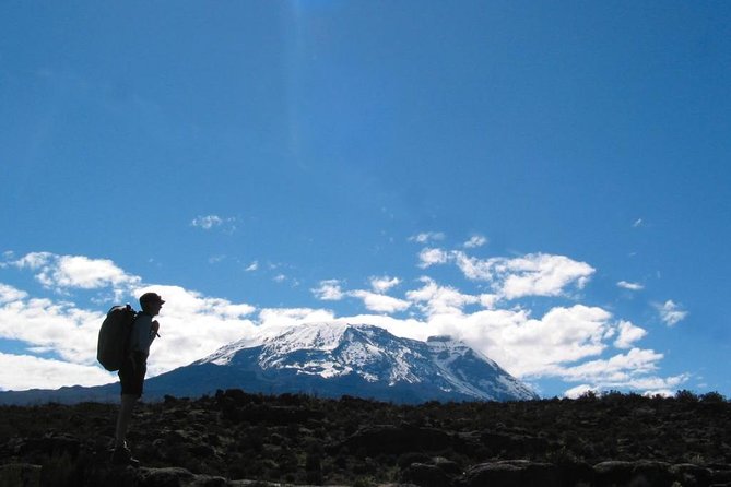 Kilimanjaro Climb • Marangu Route ~ 9 Day - Day 3 into Mandara Hut: lush forest, monkeys in the branches