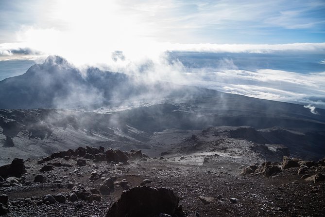 Kilimanjaro climb, Northern Circuit route (8-day) - Price and What You Actually Get for $4,010